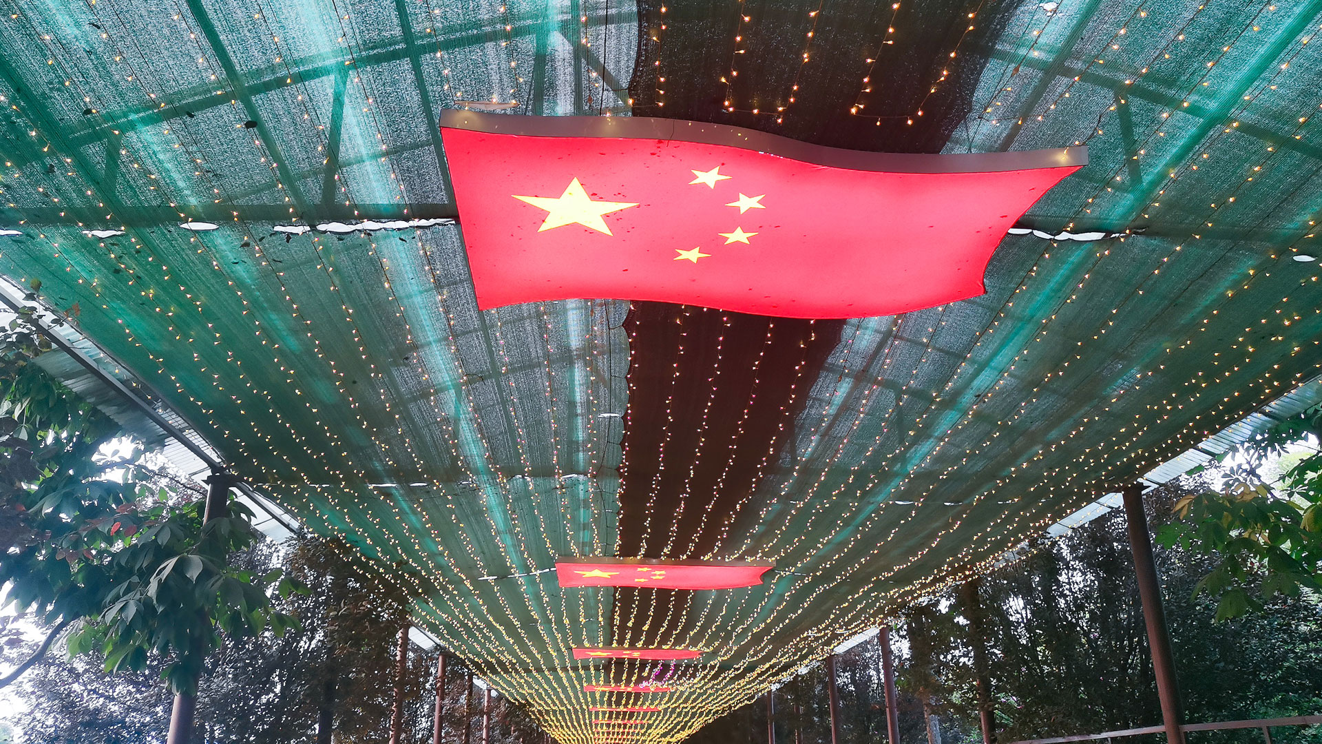 開(kāi)展實(shí)踐學(xué)習(xí)會(huì)-(1).jpg
